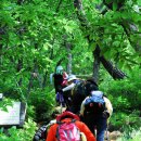 사랑목장 이미지