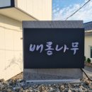 배롱나무독채스테이