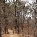 문학산에서 놀다 이미지