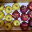 케이비농장 이미지