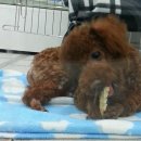 동래종합동물병원 이미지