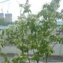 공단밋션 이미지