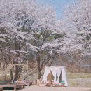 용인반딧불캠핑장 이미지