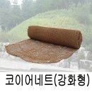 다온네이처