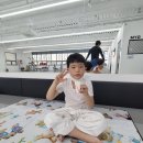 Dream of Judo 세종유도관 이미지