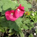 꽃소아청소년과의원 이미지