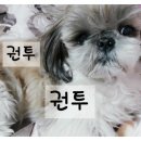 둥이PC 이미지