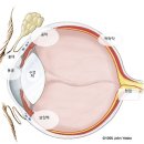 정겨운동물병원 이미지