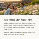 데이지가든 티스토리