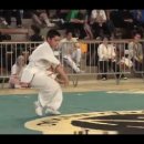 fanziquan masc - championnat de france wushu traditionnel 이미지