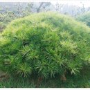 오포리농장 이미지