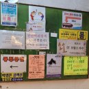 코로나진단키트 가격과 파는곳 아시나요?(편의점),잠실 월드중앙약국에서도 동물의약품을 파네요(심장...