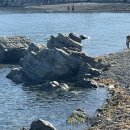 GS25 희망기장협동조합점 이미지