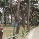 소나무공원 화장실 이미지