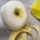 게바 1농장 이미지