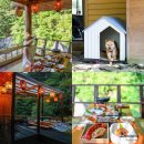 산청에가면 이미지