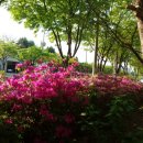 협화경로당 이미지