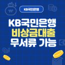 <b>KB 국민은행</b> 비상금대출 무서류 가능