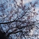 관정1리 이미지