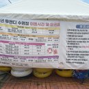 투앤디 썰매수영장 이미지