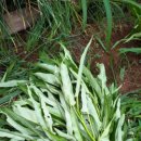 목화가든 이미지