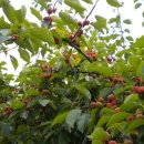 모실농장 이미지