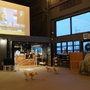 멍스 크로스 이미지