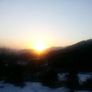 잣나무집 이미지