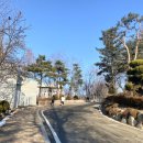 신한중학교 | 평택 신한중학교 토익 후기 (무료주차정보)