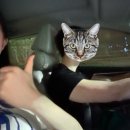 김봉현 | 39주 2일 초산모 3.7kg 자연분만 후기/에이치큐브병원 김봉현 원장님