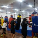 최기수복싱체육관 이미지