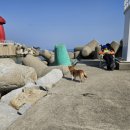 기사문항 화장실 이미지