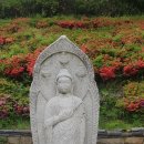 죽림지 | [경기도]안성 칠현산 칠장사&amp; 어사박문수 길☘☘