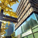 영등포구 여의샛강도서관 이미지