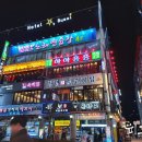 하하홍홍 네이버블로그