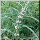 시골산장 이미지