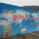 석창축사 Daum카페