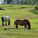 물밑목장 이미지