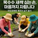 아도농장 이미지