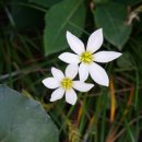 모꼬지공원 이미지