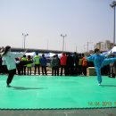 동대문구 봄꽃축제 우슈 시연 (중랑천에서..) 이미지