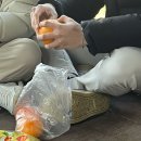 초현펜션 | 순간 속의 영원