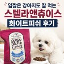 스텔라앤츄이스 | 스텔라앤츄이스 화이트피쉬 내돈내산 후기 | 입짧은 강아지도 잘 먹은 동결건조 사료
