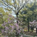 컴포즈커피우방강촌점 | [일산/라떼] 마두동 무인카페 '카페프리헷' 재방문! 아이와 가기 편안한 감성 카페 후기 ☕️