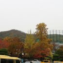 용인대정인태권도 네이버블로그