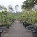 서해농장 이미지