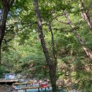 메아리식당 이미지