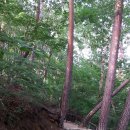 법흥사석분 이미지