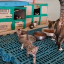 김동선 농장 이미지