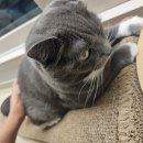 엄마사랑화장실 이미지